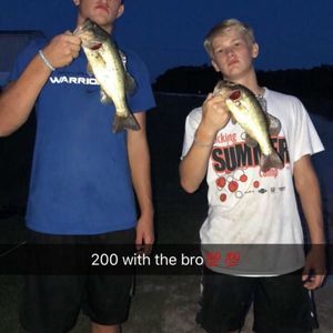 Meet your Posher, Austin